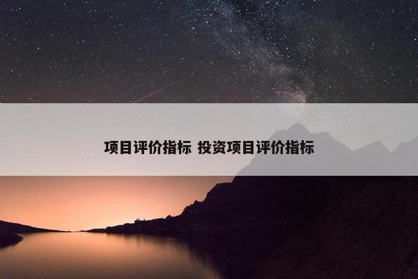 项目评价指标 投资项目评价指标