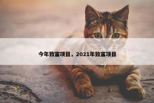 今年致富项目，2021年致富项目