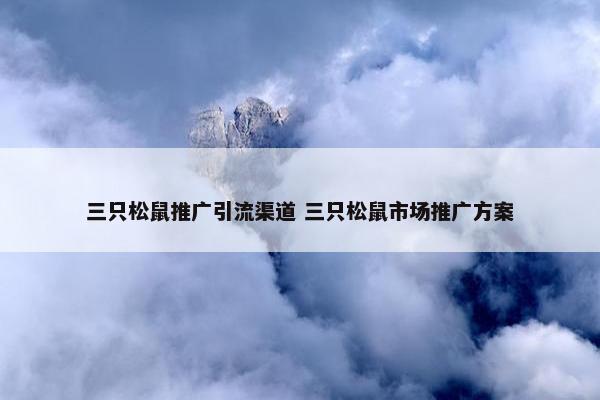 三只松鼠推广引流渠道 三只松鼠市场推广方案