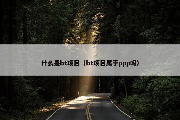 什么是bt项目（bt项目属于ppp吗）