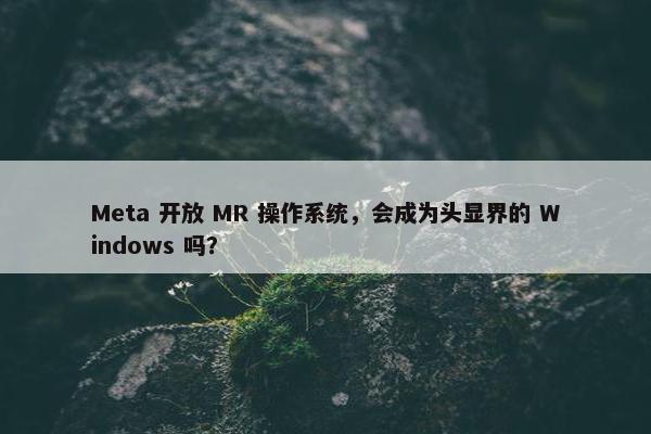 Meta 开放 MR 操作系统，会成为头显界的 Windows 吗？