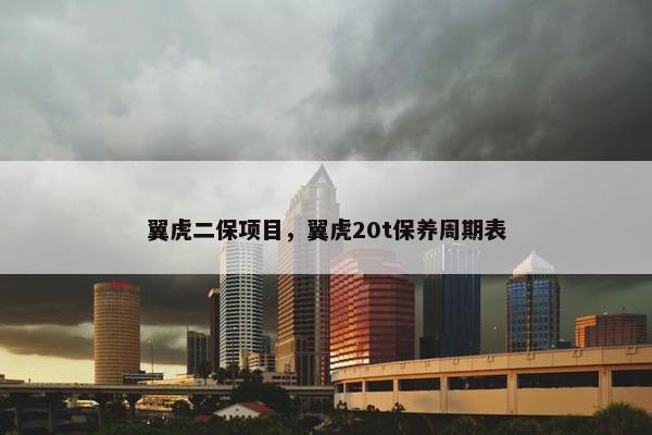 翼虎二保项目，翼虎20t保养周期表