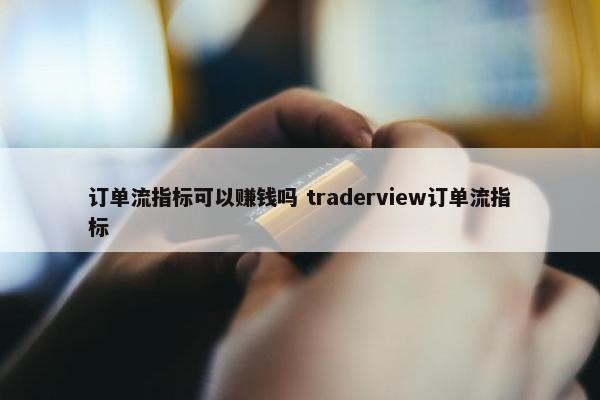 订单流指标可以赚钱吗 traderview订单流指标