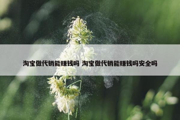 淘宝做代销能赚钱吗 淘宝做代销能赚钱吗安全吗