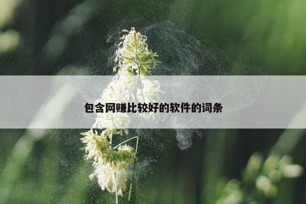 包含网赚比较好的软件的词条