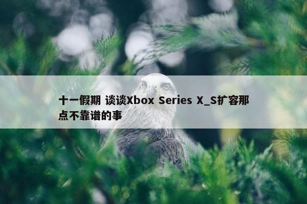 十一假期 谈谈Xbox Series X_S扩容那点不靠谱的事