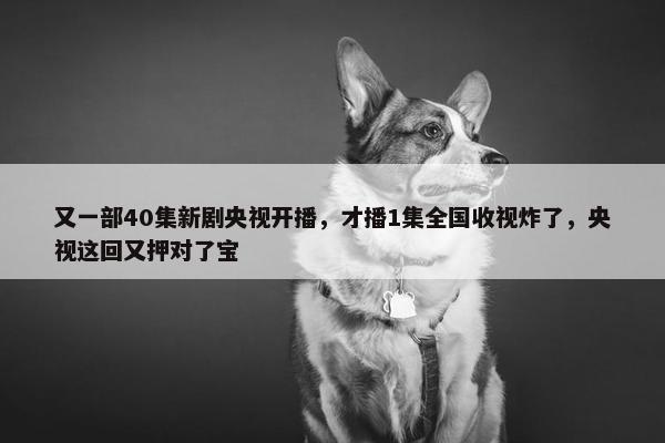 又一部40集新剧央视开播，才播1集全国收视炸了，央视这回又押对了宝