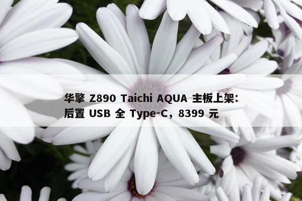 华擎 Z890 Taichi AQUA 主板上架：后置 USB 全 Type-C，8399 元