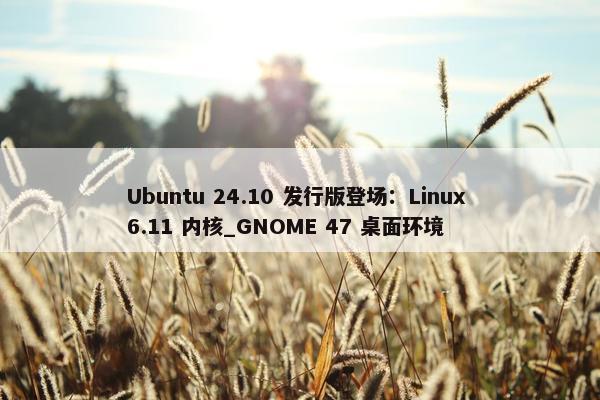 Ubuntu 24.10 发行版登场：Linux 6.11 内核_GNOME 47 桌面环境