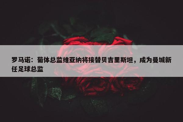 罗马诺：葡体总监维亚纳将接替贝吉里斯坦，成为曼城新任足球总监