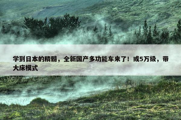 学到日本的精髓，全新国产多功能车来了！或5万级，带大床模式