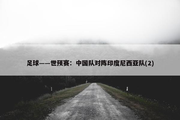 足球——世预赛：中国队对阵印度尼西亚队(2)