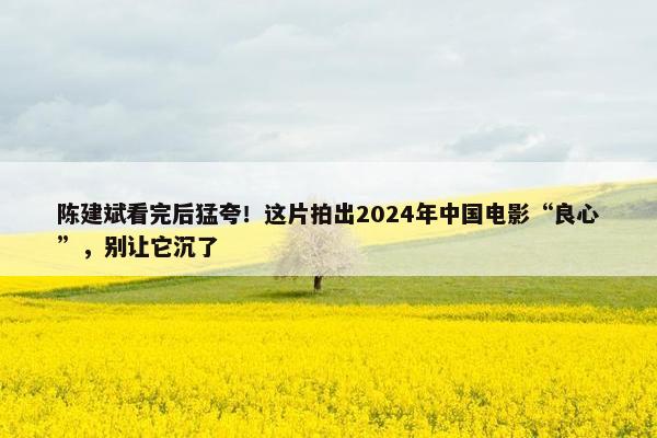 陈建斌看完后猛夸！这片拍出2024年中国电影“良心”，别让它沉了