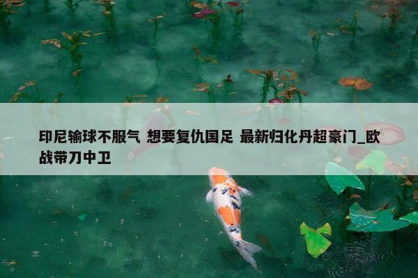 印尼输球不服气 想要复仇国足 最新归化丹超豪门_欧战带刀中卫