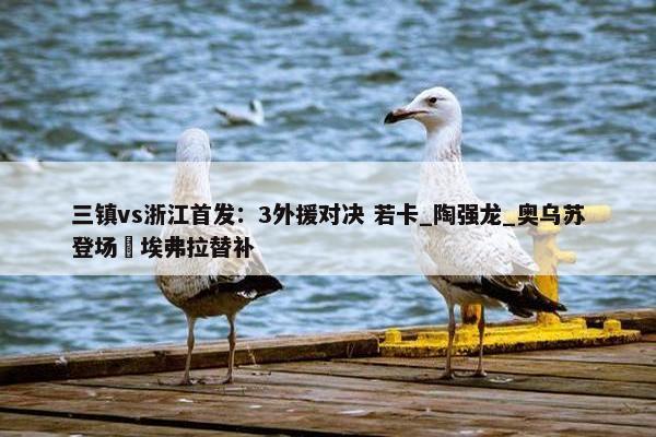 三镇vs浙江首发：3外援对决 若卡_陶强龙_奥乌苏登场 埃弗拉替补