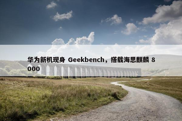 华为新机现身 Geekbench，搭载海思麒麟 8000