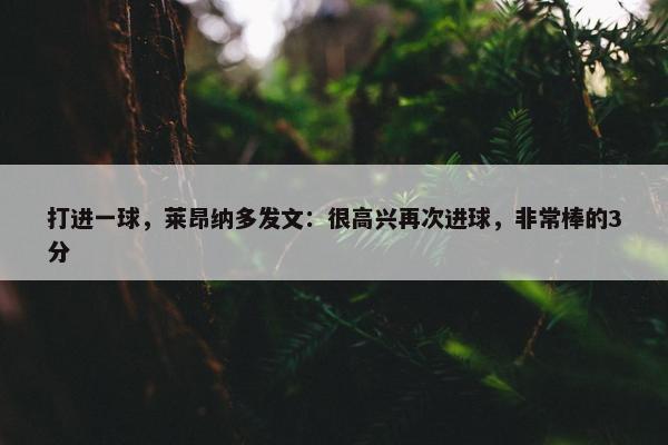 打进一球，莱昂纳多发文：很高兴再次进球，非常棒的3分